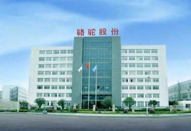 新疆駱駝集團采購濾中濾開水器